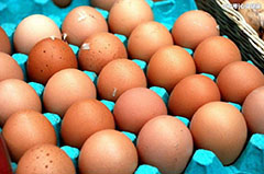 怎么選雞蛋，雞蛋的保質期又是多久你知道嗎？